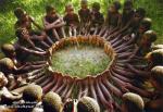 peace and love